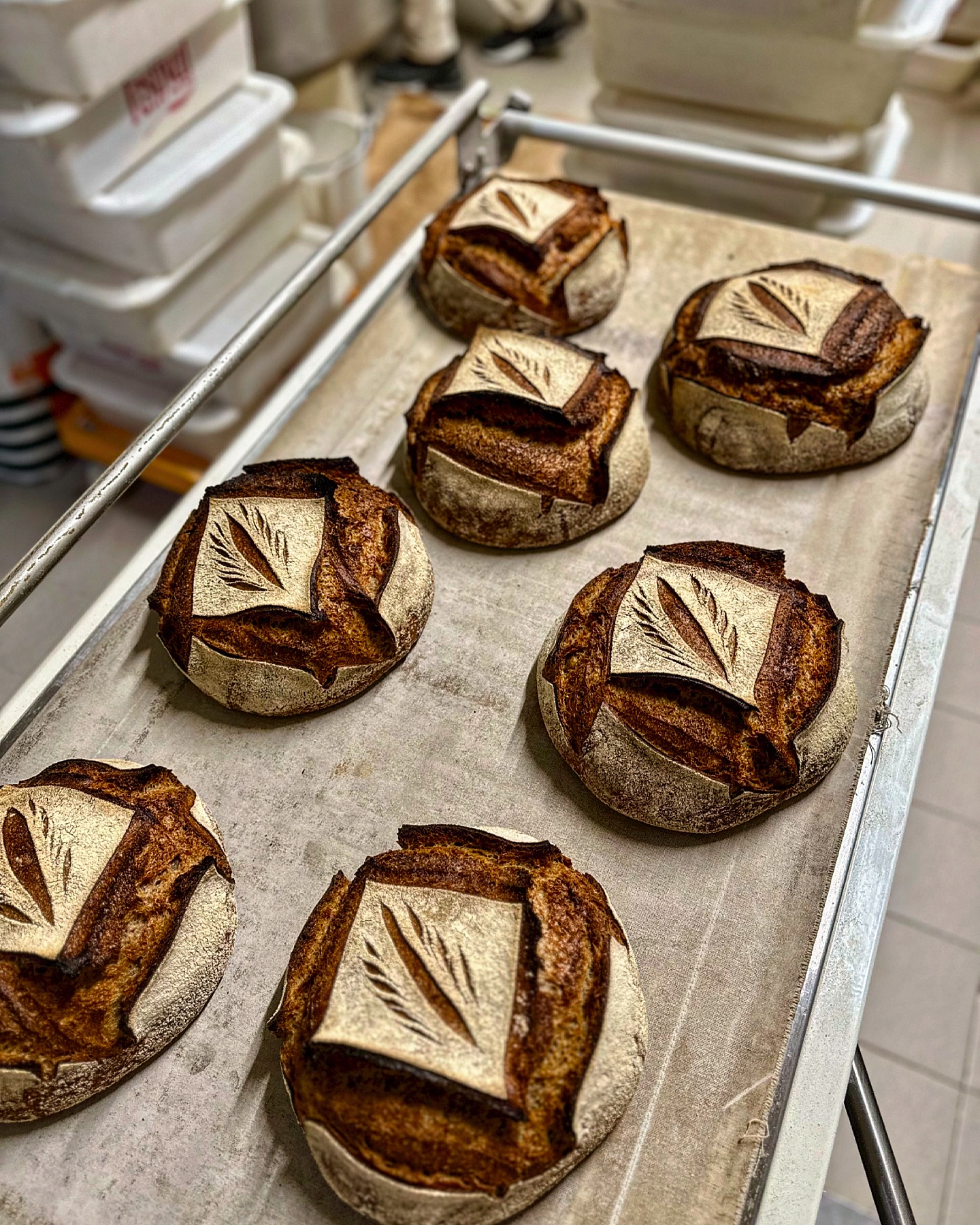 Boulangerie Mérignac Arlac Boulangerie Mérignac Arlac